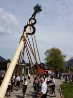 Maibaumaufstellen 2017